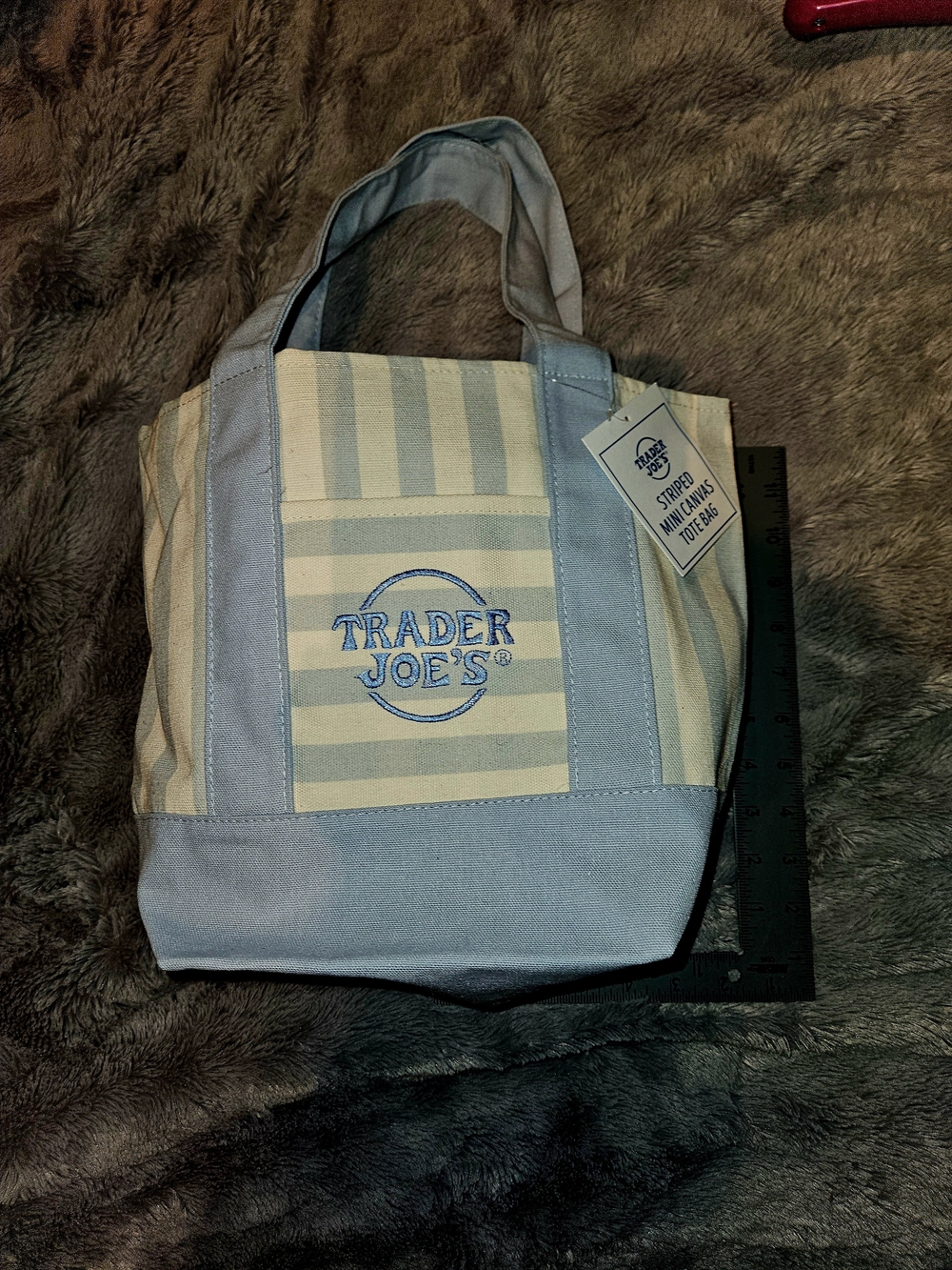 Trader Joe's Striped Mini Canvas Tote - Light Blue & Cream NEW